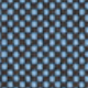 Cat 02